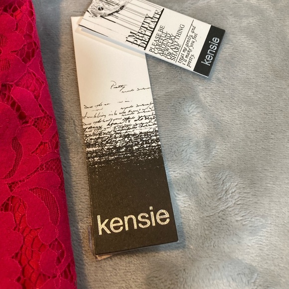 Kensie Hot Pink Lace Dress NWT L - Picture 5 of 6